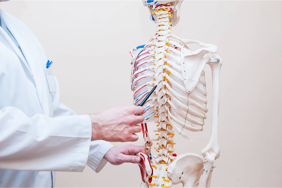 Osteoporotic Spine Fractures Treatment Anna Nagar